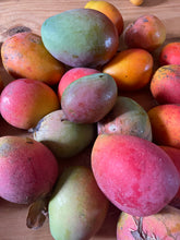 Organic Assorted- Mangos